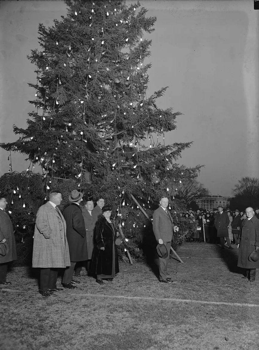 A huge fir tree strung with lights on a lawn, a small crowd in overcoats standing at its foot, 1923.